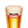 Chopp